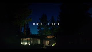 Play It Right - Sylvan Esso - Into The Forest Soundtrack