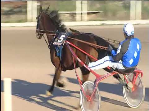 Trotto 11/12/2018 - 2ª corsa