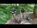 Johnny And June On A Walk At The Saint Louis Zoo