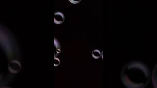 Nerina Pallot - Patience - Dear Frustrated Superstar