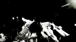 The Colour- Black Summer