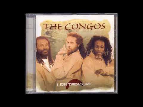 DIVULGANDO REGGAE NA VEIA  -  Stay Alive  /   M Jr Roots  - AL