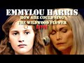 Emmylou Harris - How She Could Sing The Wildwood Flower (Live)
