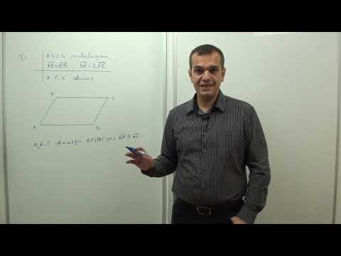 08.061  Coliniaritate