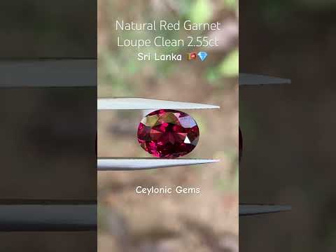 Natural Red Garnet Ceylon Gemstones #gems #viral #fyp #todaynews #sapphire #red #garnets #naturalgem