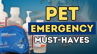 Must-Have Items in Your Pet First Aid Kit: Keep Your Pet Saf