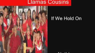 preview picture of video 'Llamas Cousins'