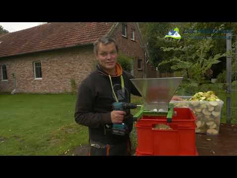 Apfelwein selbst herstellen