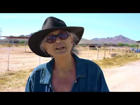 'Alien Ranch' in Buckeye has pricetag in the millions, but encounters could be priceless