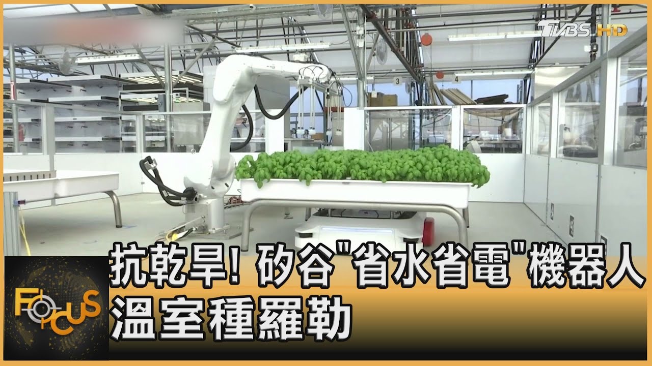 抗乾旱!矽谷「省水省電」機器人 溫室種羅勒