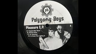 Polygamy Boys - Pleasure Patrol (Electro Italo)