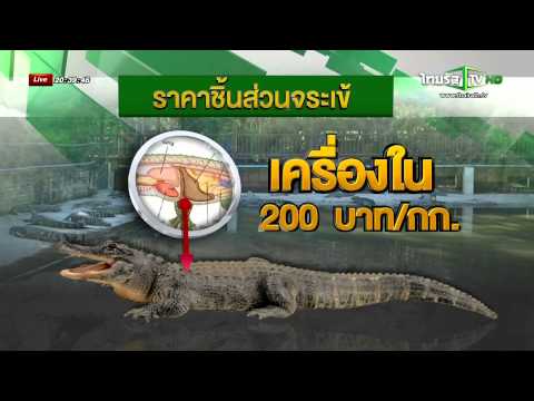 คลีนิกใน spb ขยายขนาดอวัยวะเพศ พรูค้อนทาชเคนต์
