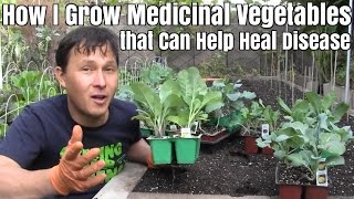 How I Grow Medicinal Vegetables that Can Help Heal Disease