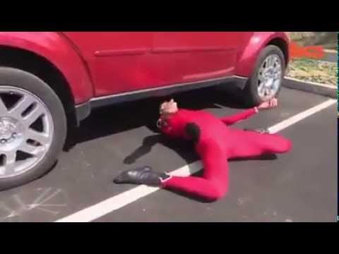 world record - She may hold the world record for lowest limbo ever