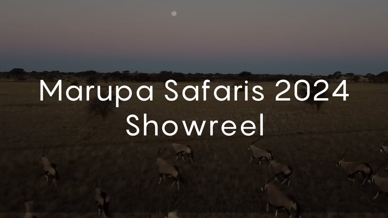 Marupa Safaris 2024 Showreel