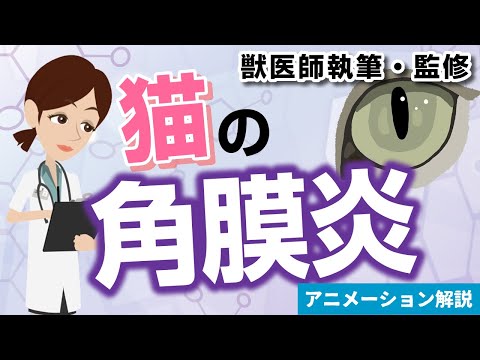 猫の角膜隔離症 - 治療と原因