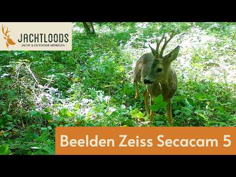 ZEISS Secacam 5 wildcamera