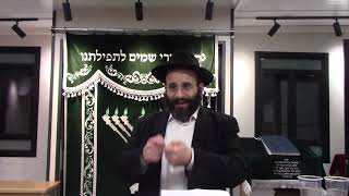 האם הורים חייבים בתשלום על נזקים שעשו ילדיהם (הרב אלחנן משה נחמנסון) - התמונה מוצגת ישירות מתוך אתר האינטרנט יוטיוב. זכויות היוצרים בתמונה שייכות ליוצרה. קישור קרדיט למקור התוכן נמצא בתוך דף הסרטון