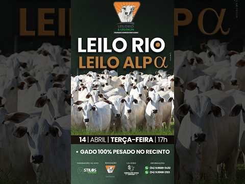 LEILÃO MISTO  14/04/2026 - LEILO RIO & LEILO ALPA - RIO PARANAÍBA-MG