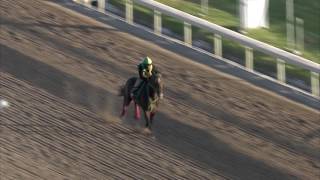 Gulfstream Park: Three Rules works 4 Furlongs 12/31/16