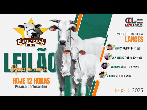 LEILÃO GADO DE CORTE ESTRELA DALVA lEILÕES - 22/06/2025.
