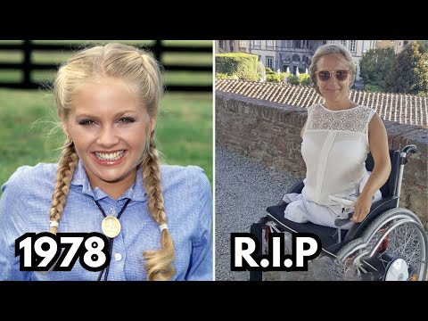 Dallas (1978-1991) CAST THEN AND NOW 2025, How They Changed!