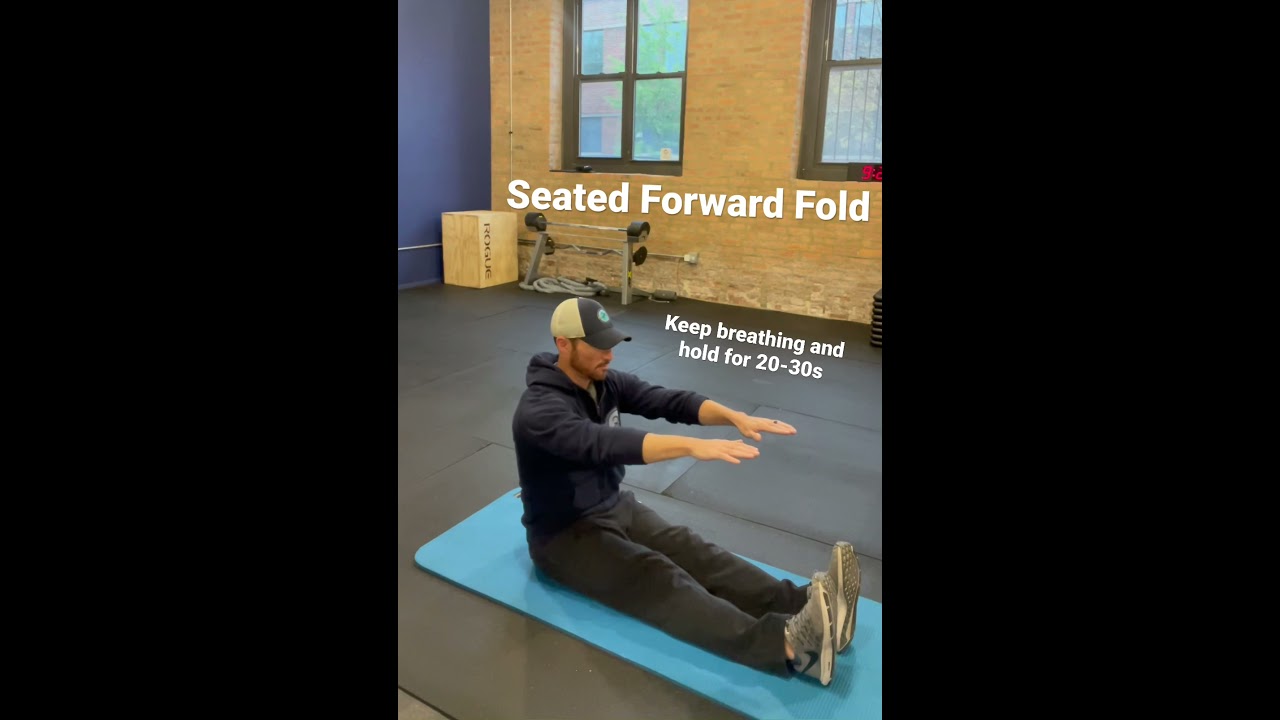 Seated Forward Fold Stretch