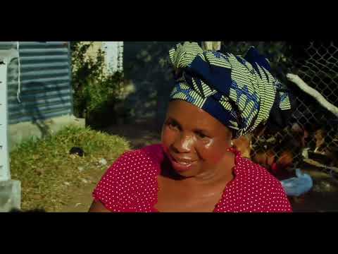 Bob Sam - OBRIGADO PAIS