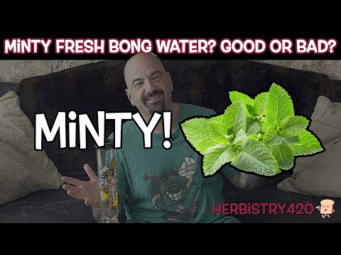 Mint Bong Water Experience — 3 Honest Truths About Minty Hits
