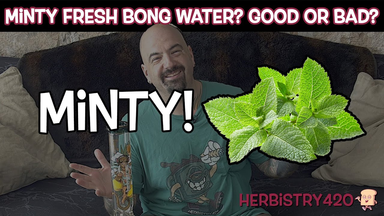 Mint Bong Water Experience — 3 Honest Truths About Minty Hits