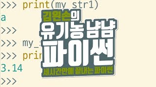 문자열 자료형 | 유기농냠냠파이썬 | 김왼손의 왼손코딩