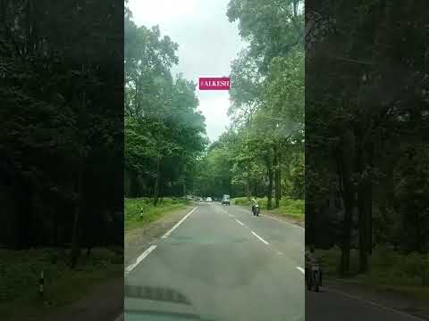 ALKESH #youtubeshorts #jubinnautiyal #journey #uttrakhnd #alkeshkukreti