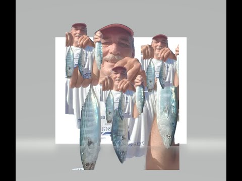 PPLUIS7 MALAGA SURFCASTING