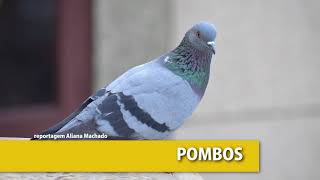 Ouça o que foi notícia no Uninter Informa #26