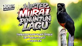 Download lagu JUARA 1 NASIONAL !! SATU NAFAS 5 LAGU MASTERAN BURUNG MURAI BATU TEMBAKAN BERUNTUN  mp3