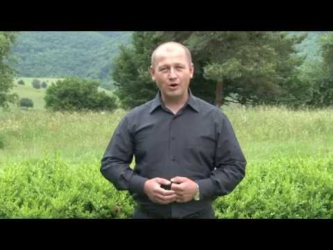 Florin Lucian Sucala - Idolul mandrutelor