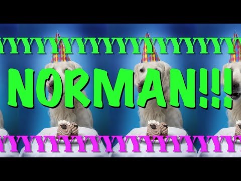 HAPPY BIRTHDAY NORMAN! - EPIC Happy Birthday Song