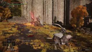 [完全初見]ノエデンリング　その12