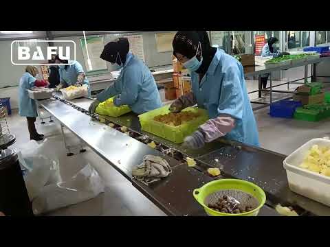 fruit packaging machine, fresh produce packaging machine, vegetable packaging machine, flow wrapper