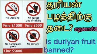 துரியன் பழத்திற்கு தடை?|thuriyan palam benifits|| duriyan fruit