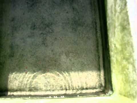 08.01.2011 Feeding Time.AVI