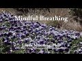 Short Mindful Breathing Exercise