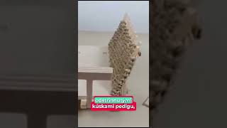 Rebriňák - 3D stojan na servítky