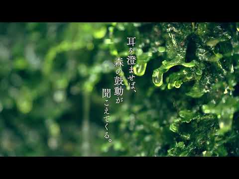 SHINRA YORO VALLEY (summer to autumn)