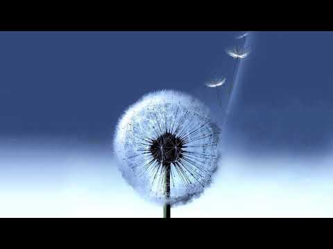 download lagu mp3 mp4 Samsung Tone Mp3 Free Download, download lagu Samsung Tone Mp3 Free Download gratis, unduh video klip Samsung Tone Mp3 Free Download