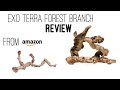 Exo Terra Forest Branch In Aquarium