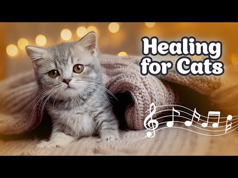 Harmonious Harp Music for Cats ♬ Stress Relief - Relaxation and Sleep with Tranquil Waters