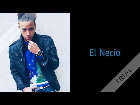 Naldo El Necio - Evita El Rose
