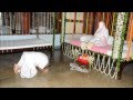 Sree Sree Thakur Anukulchandra Songs Collection