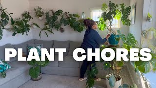 Plant Chores & Care